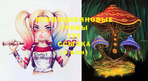 дурь Алексеевка