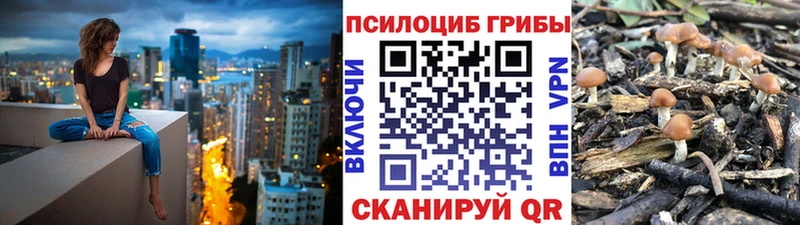 Псилоцибиновые грибы ЛСД  Луга 